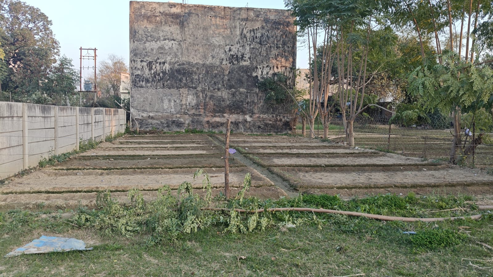 West Facing Corner House